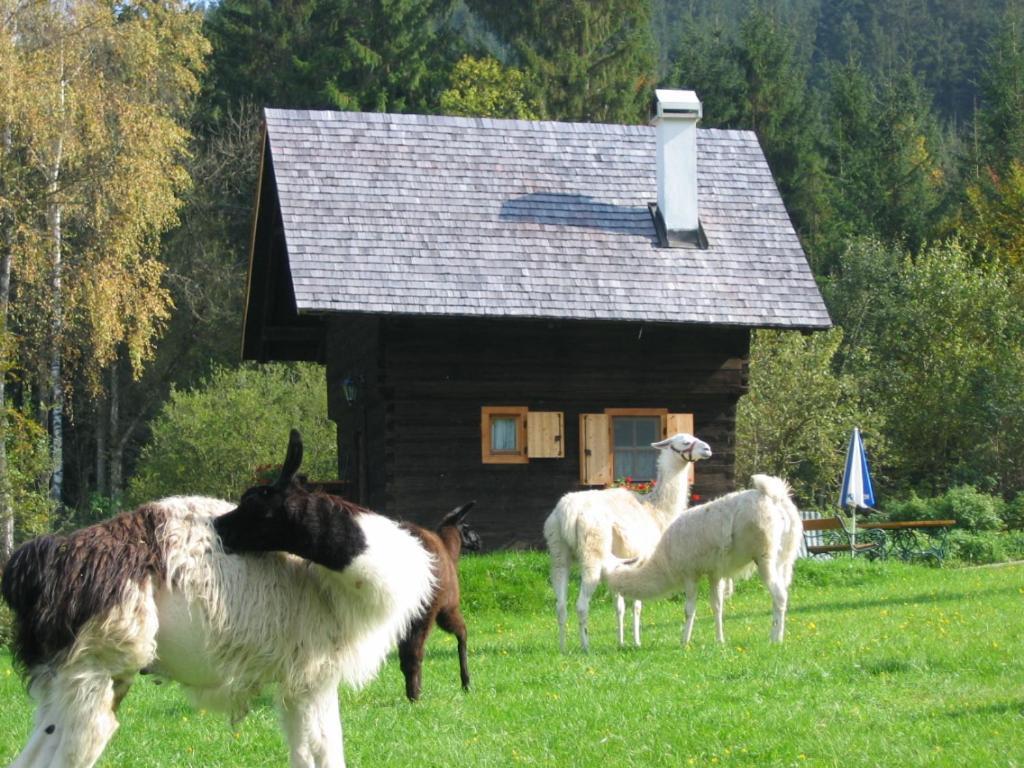 Huette Zum Verlieben Gurk Exterior foto