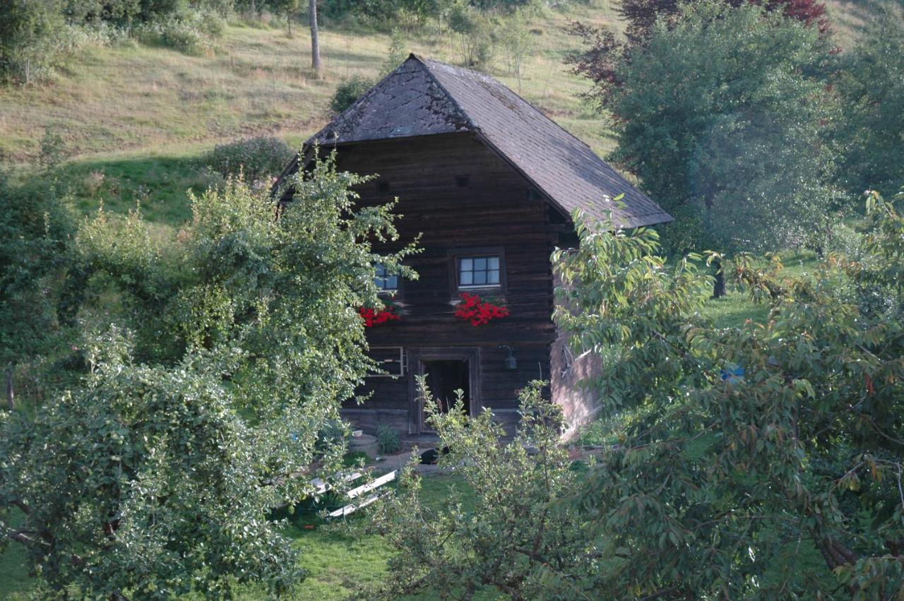 Huette Zum Verlieben Gurk Exterior foto